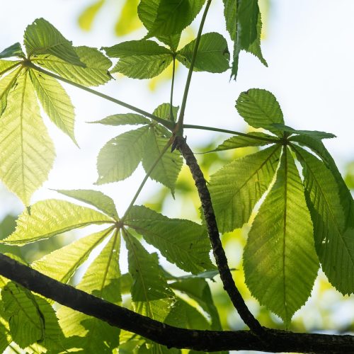 7 Ways to Cultivate a Growth Mindset and Find Peace After a Storm 